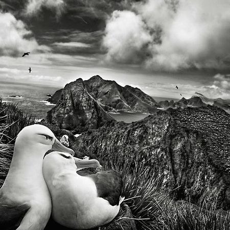 Вилла Les Mouettes Amoureuses Луаннек Экстерьер фото