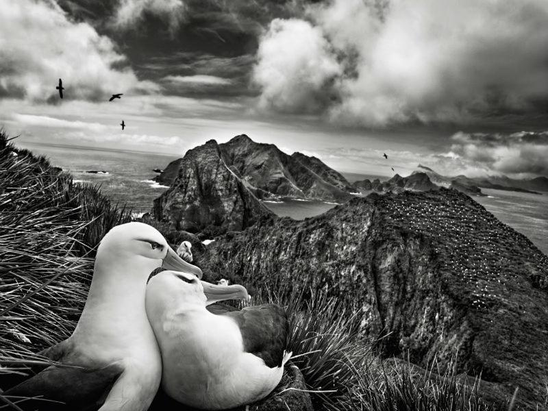 Вилла Les Mouettes Amoureuses Луаннек Экстерьер фото